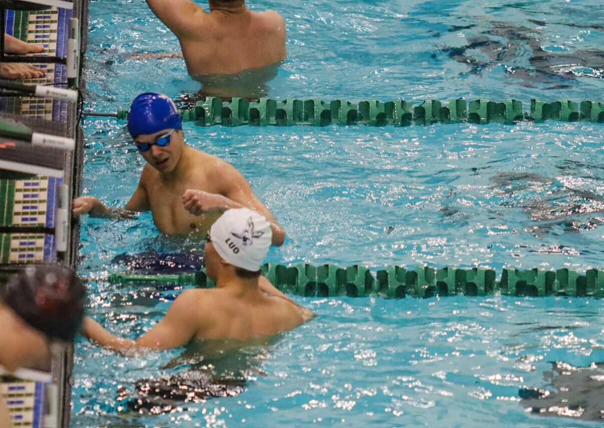 FHS swimmers getting ready to compete