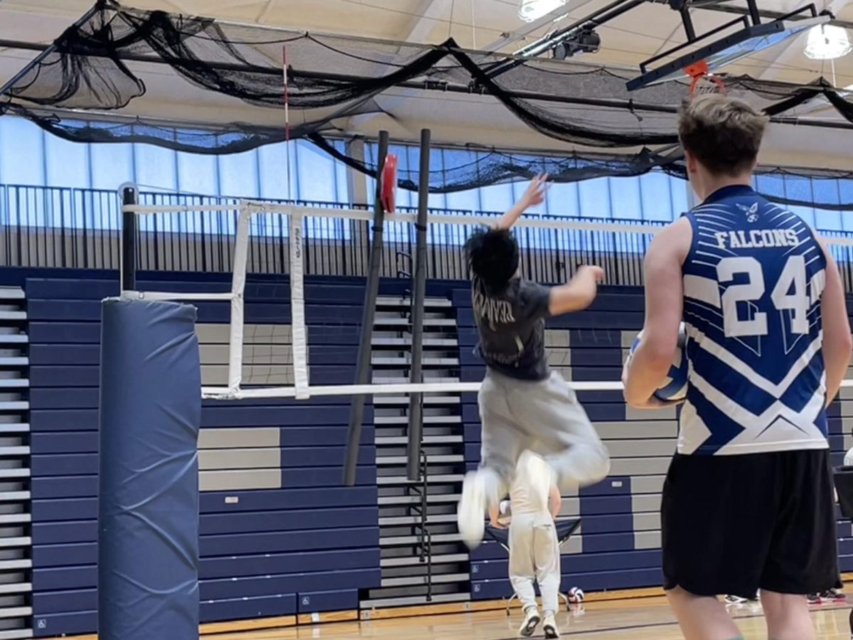 Player spikes the ball over the net.