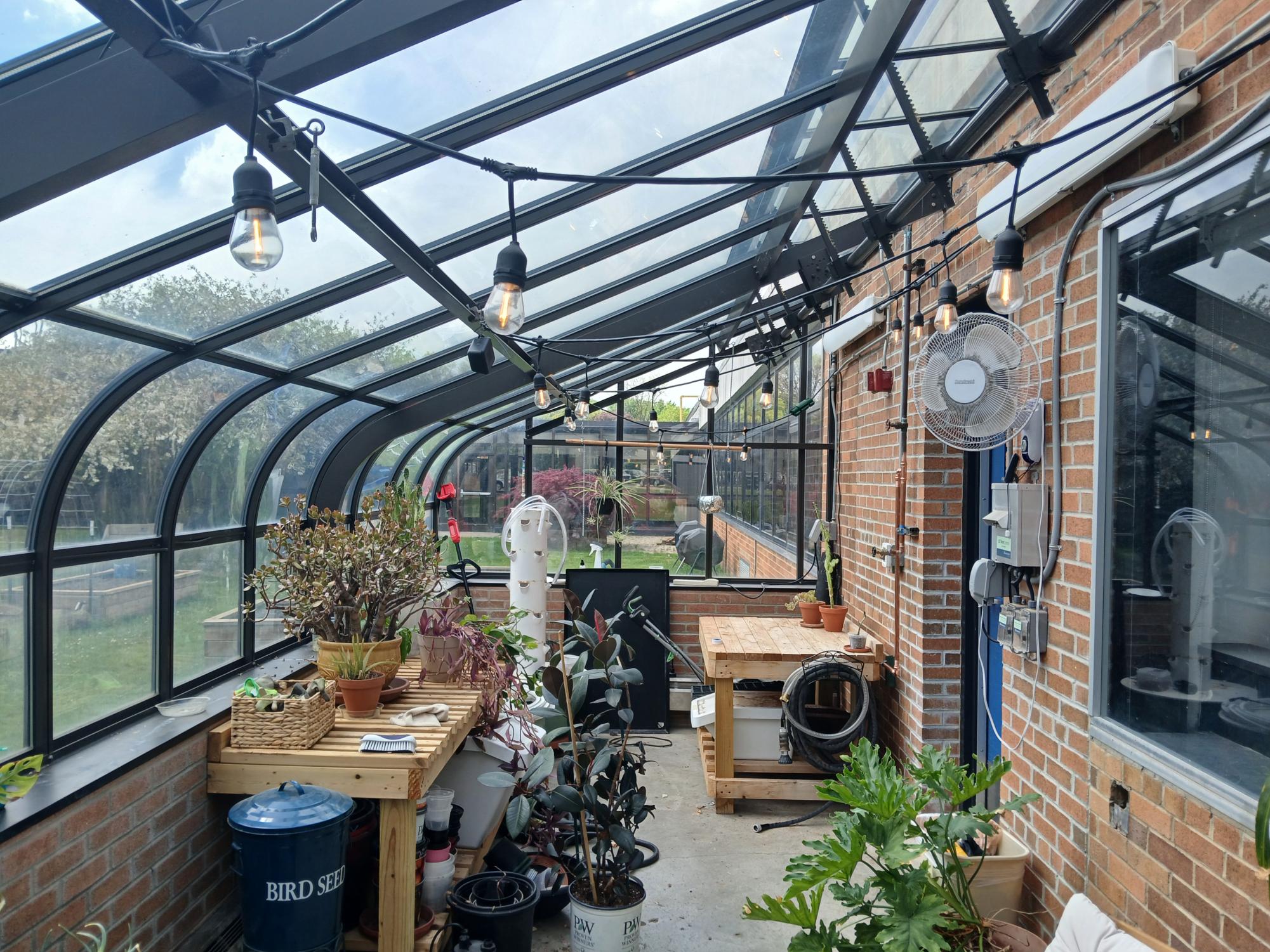 Interior of the greenhouse